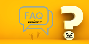 FAQ Wildlife Removal Mississauga